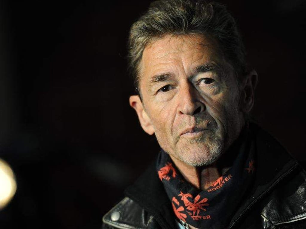 Der deutsche Rockmusiker Peter Maffay. Foto: Andreas Gebert/Archiv