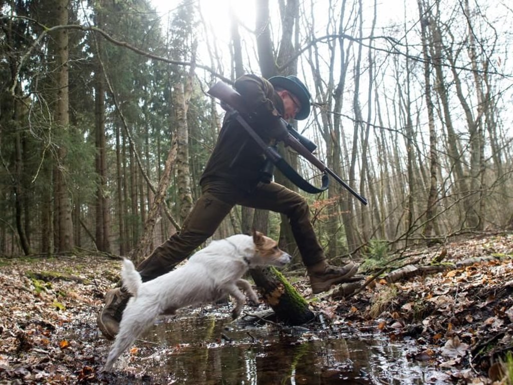 Mit dem Hund durch die Natur streifen ist auch ein Teil des Jobs als Förster - doch die Experten machen noch viel mehr. Foto: Klaus-Dietmar Gabbert/dpa