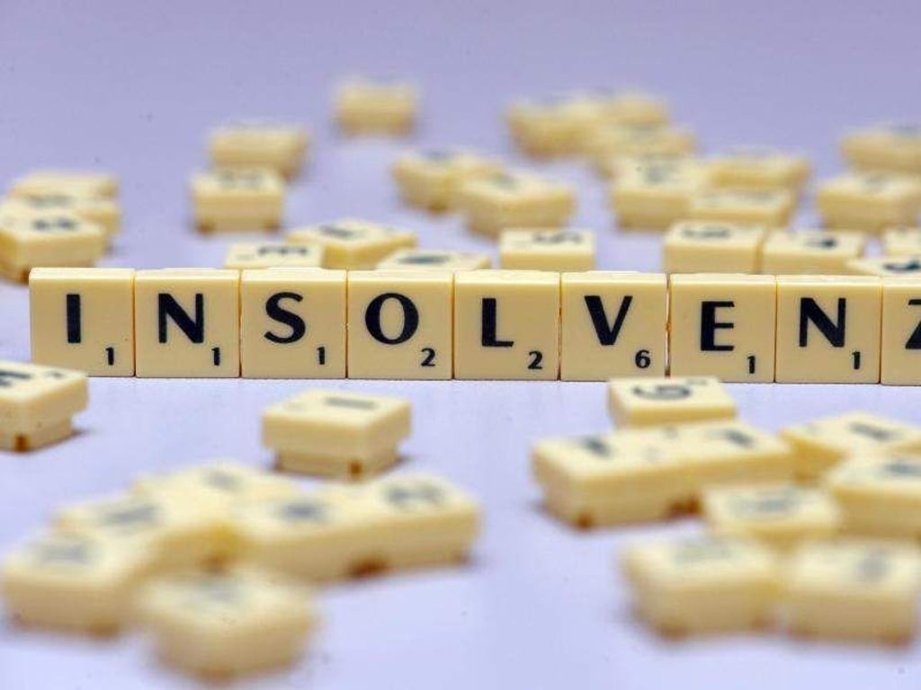 Der Schriftzug «Insolvenz» steht auf einem Tisch. Foto: Soeren Stache/Archiv