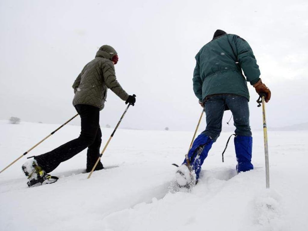 Schneeschuhwandern trainiert nicht nur die Fitness, es ist auch ein schönes Naturerlebnis. Foto: Felix Kästle