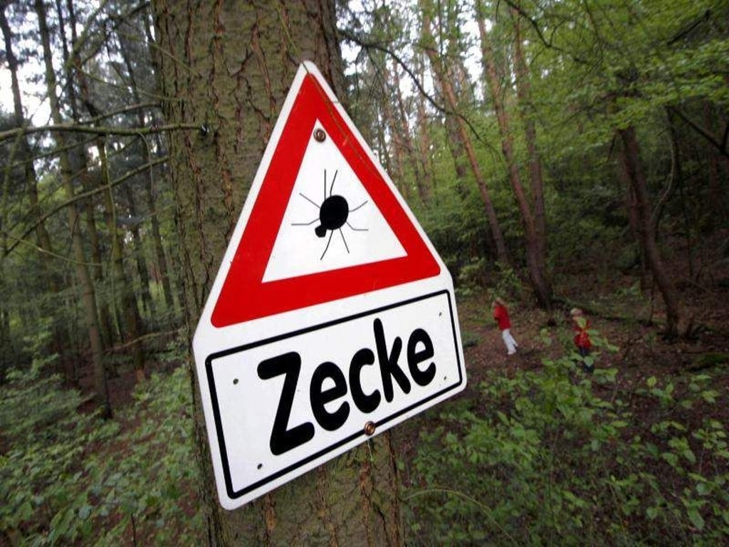 Ein Warnschild mit der Aufschrift «Zecke» hängt an einem Baum im Wald. Foto: Frank Rumpenhorst/Archiv