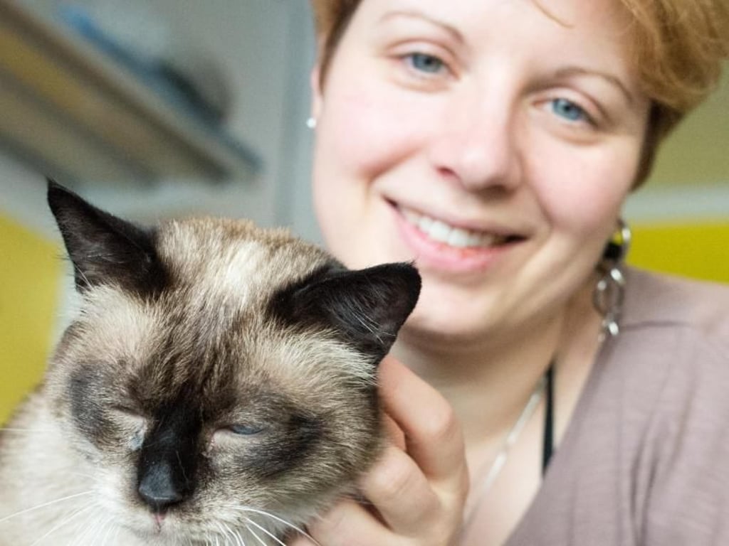 Kater Jackey-Smokey fühlt sich bei seiner Besitzerin Caroline Braune sichtlich wohl. Foto:Franziska Gabbert/dpa-tmn