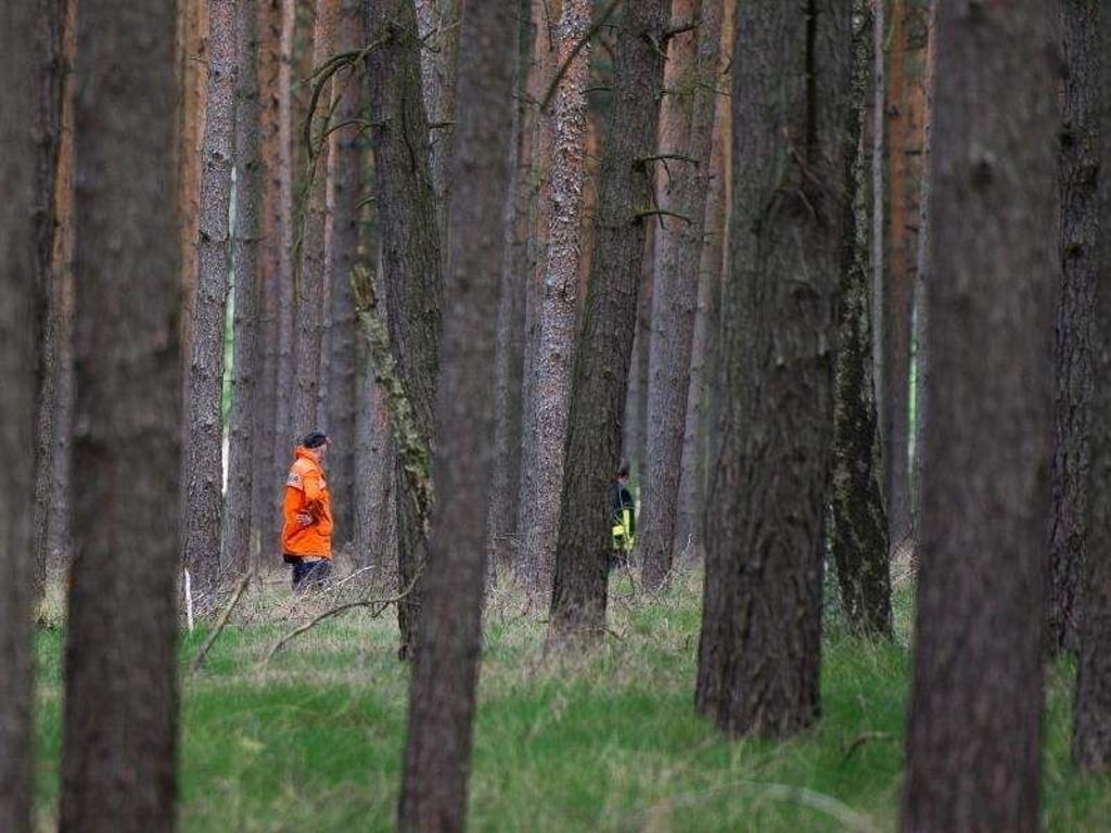 Einsatzkräfte durchsuchen ein Waldgebiet bei Wilhelmshof. Foto: Lukas Schulze