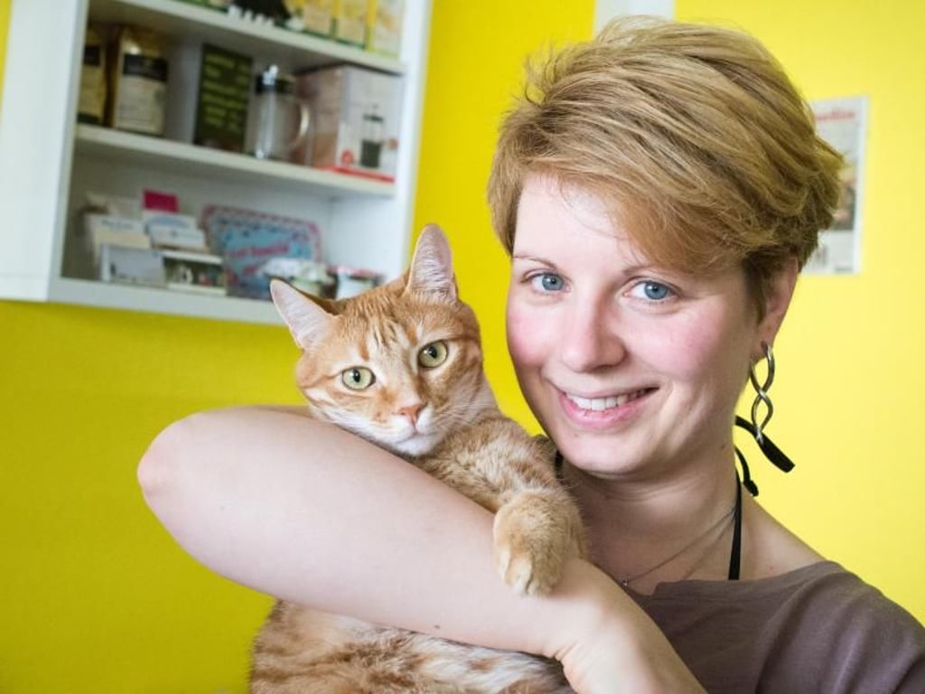 Die Tiere im Katzencafé von Caroline Braune sind ehemalige Straßenkatzen aus der Ukraine. Bei der Auswahl wurde darauf geachtet, dass die Tiere rundum gesund sind und sich in Gruppen wohlfühlen. Foto:Franziska Gabbert/dpa-tmn