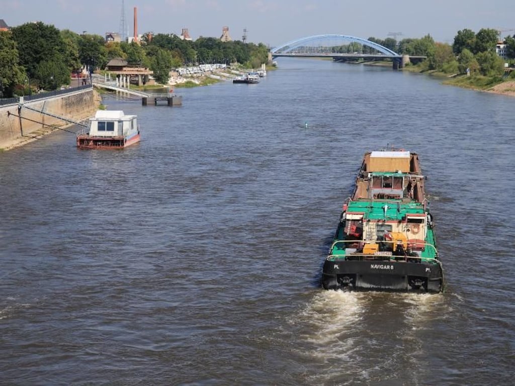 Binnenschiff auf der Elbe: Der WWF stellt der Qualität der deutschen Gewässer ein mieses Zeugnis aus. Foto: Jens Wolf