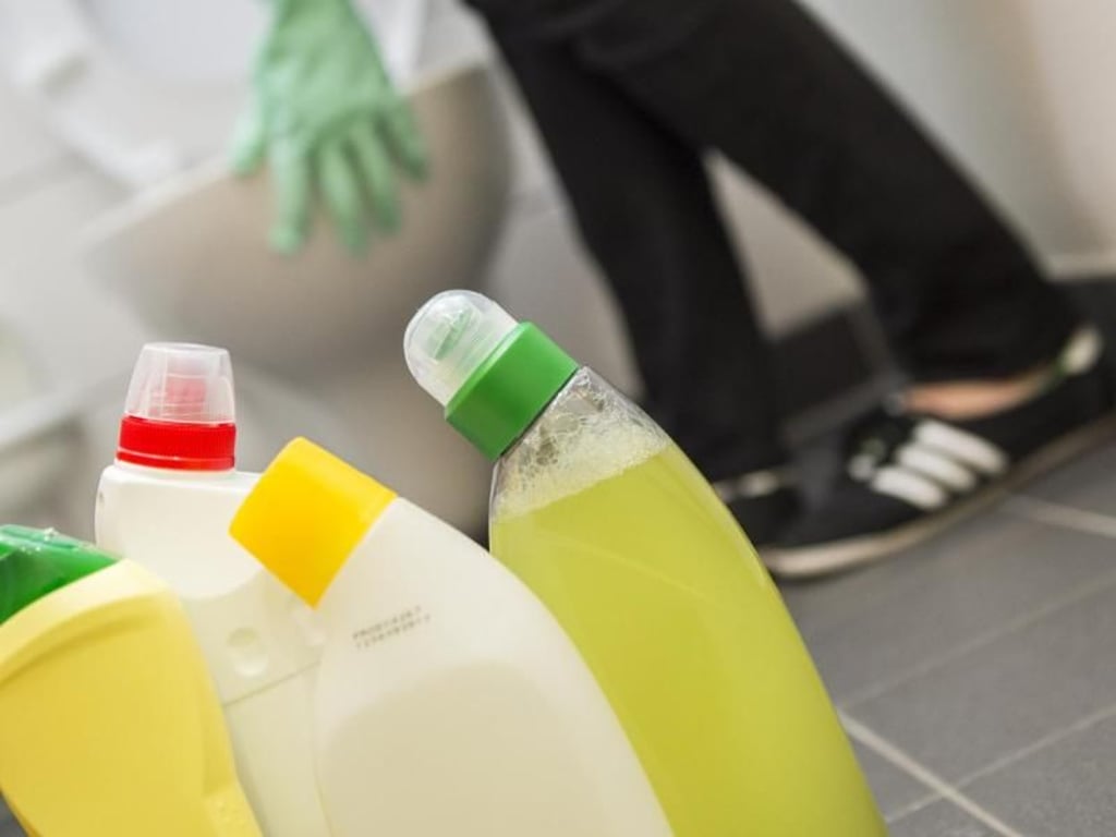 Bei den Reinigungsmitteln für die Toilette haben Verbraucher die Qual der Wahl: Die Auswahl zwischen Allzweckreiniger, WC-Reiniger, Bad-, Kalk-, Chlor- und Essigreiniger ist riesig. Foto: Christina Sabrowsky