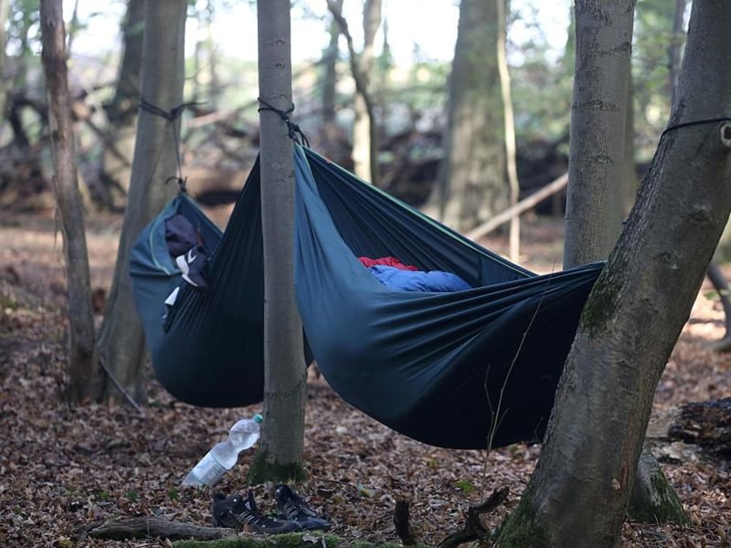 Nach dem Abzug der Polizei sind zahlreiche Aktivisten in den Hambacher Forst zurückgekehrt. Foto: Oliver Berg
