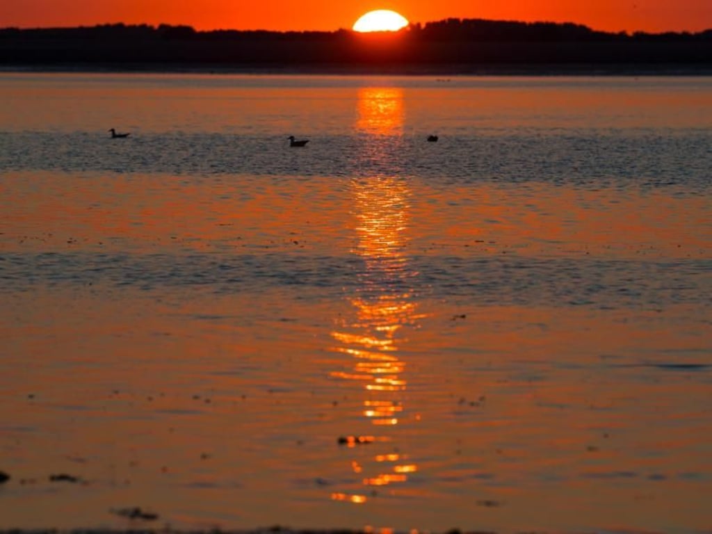 Die Sonne geht im Watt vor Norderney unter. Wegen der geologischen und ökologischen Bedeutung wurden am 26. Juni 2009 große Teile des deutschen und niederländischen Wattenmeeres in das Unesco-Weltnaturerbe aufgenommen. 2011 wurde die Liste um das Hamburgische Wattenmeer erweitert, 2014 kam das dänische Wattenmeer hinzu. Foto: Federico Gambarini