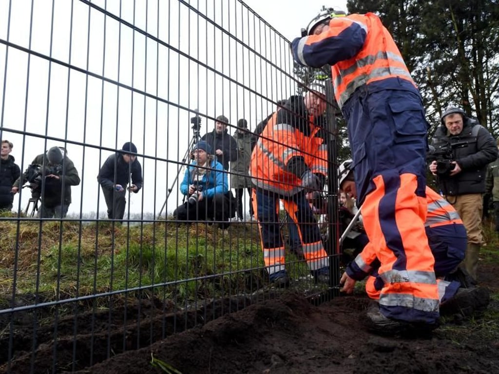 Sie meinen es ernst: Arbeiter montieren ein Zaunelement auf der Baustelle des Wildschweinzaunes. Foto: Carsten Rehder