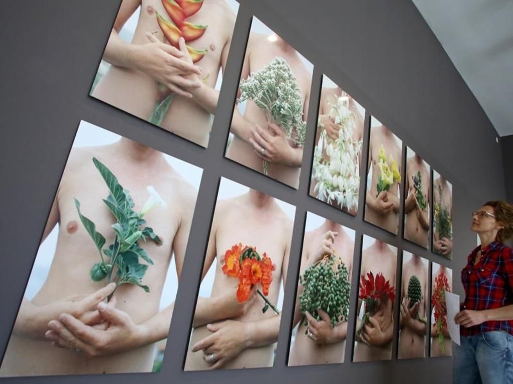 Die Bilderserie «Hortus Conclusus» von Miro Schmückle. Foto: Roland Weihrauch
