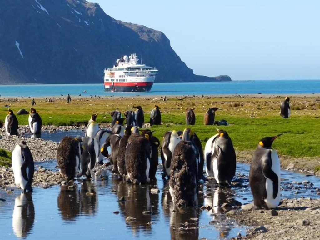 Zu Besuch bei den Pinguinen: Die «Fram» fährt unter anderem in die Antarktis. Foto: Hurtigruten