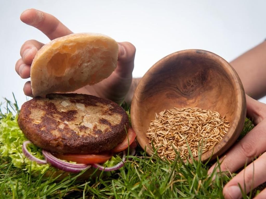 Der neu entwickelte «Insekten-Burger». Das Burgerfleisch besteht zu rund fünfzig Prozent aus Buffalo-Würmern (Getreideschimmelkäferlarven). Foto: Ingo Wagner