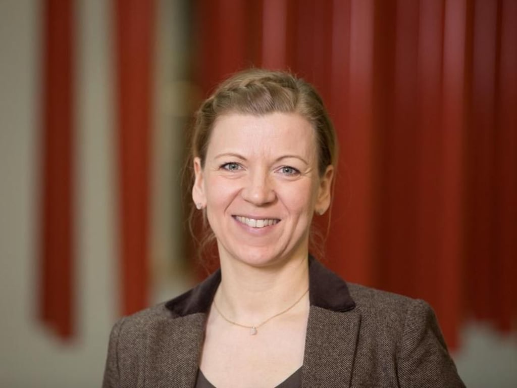 Delf Zeh