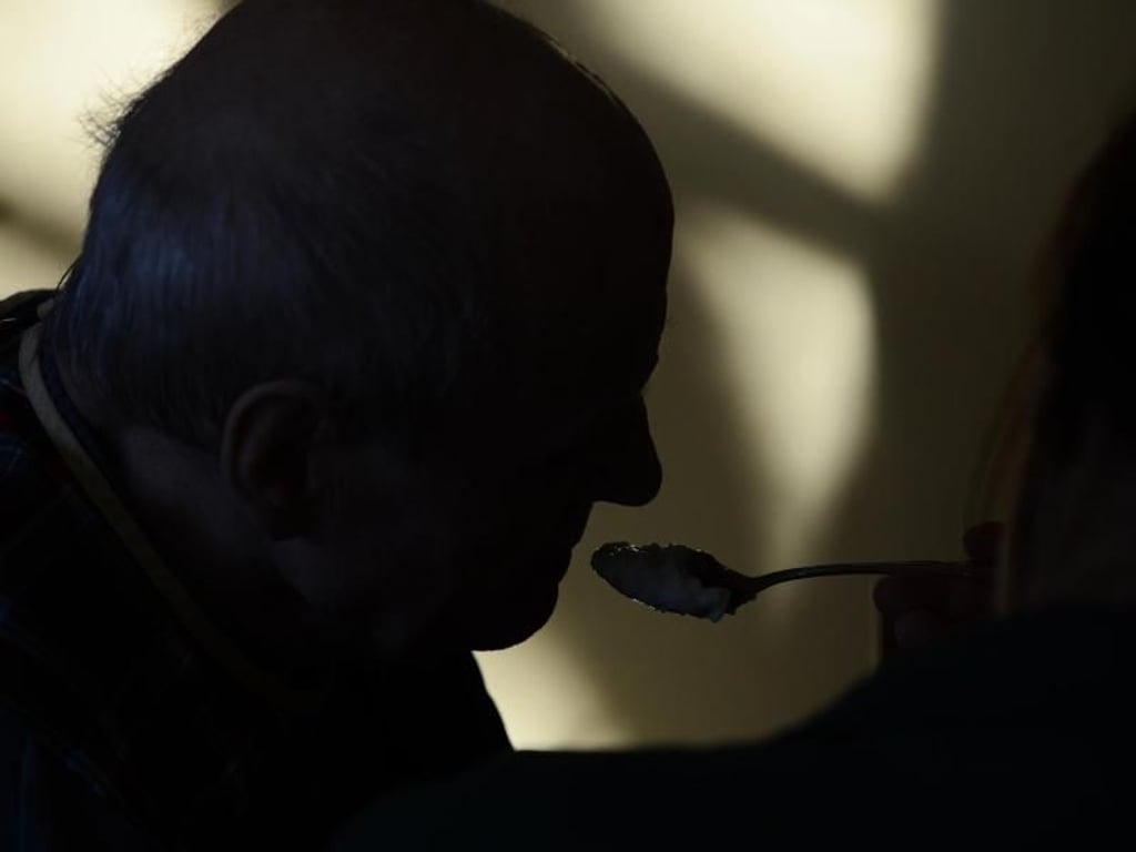 Pürierte Speisen essen Menschen mit Schluckstörungen nicht unbedingt gerne: Oft sind die Speisen verwässert und sehen nicht ansprechend aus. Foto: Jens Kalaene