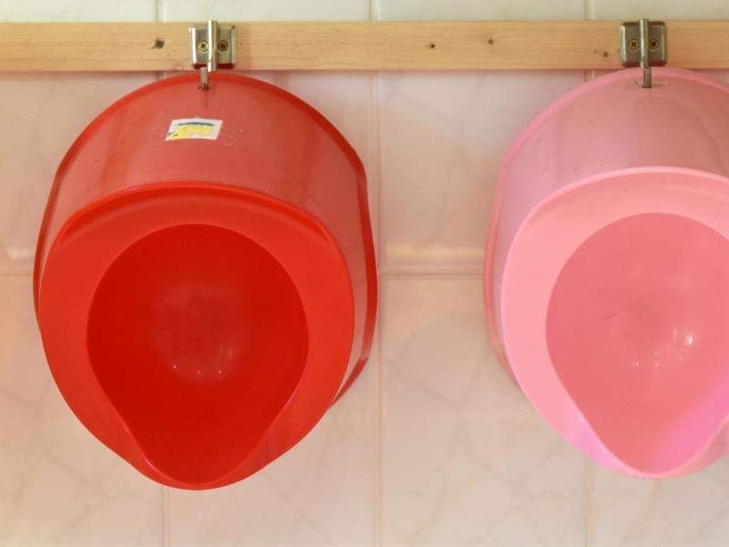 Die Kleinen bilden die notwendigen physischen und kognitiven Fähigkeiten zur Windelentwöhnung erst mit dem 18. bis 24. Lebensmonat aus. Vorher ist das Toilettentraining daher nicht sinnvoll. Foto: Ralf Hirschberger