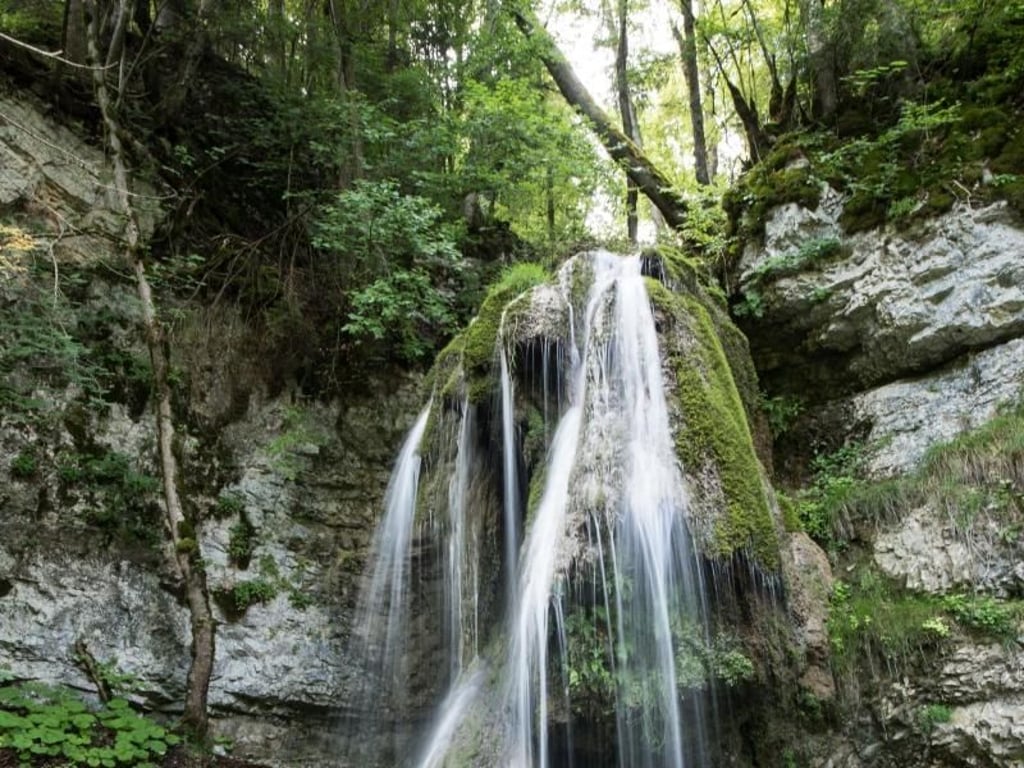 Die Natur bahnt sich ihren Weg in der Wutanschlucht. Foto: Patrick Seeger
