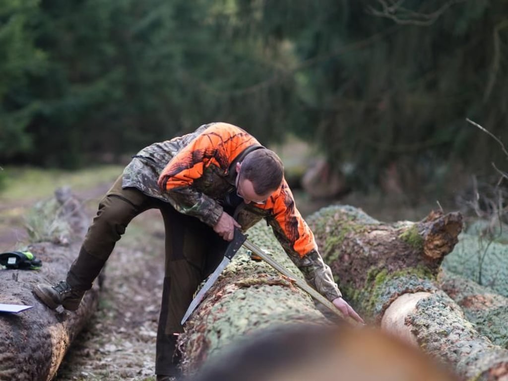 Holz ernten, Saatgut gewinnen und Flächen aufforsten: Das sind die Aufgaben eines Försters. Foto: Klaus-Dietmar Gabbert/dpa