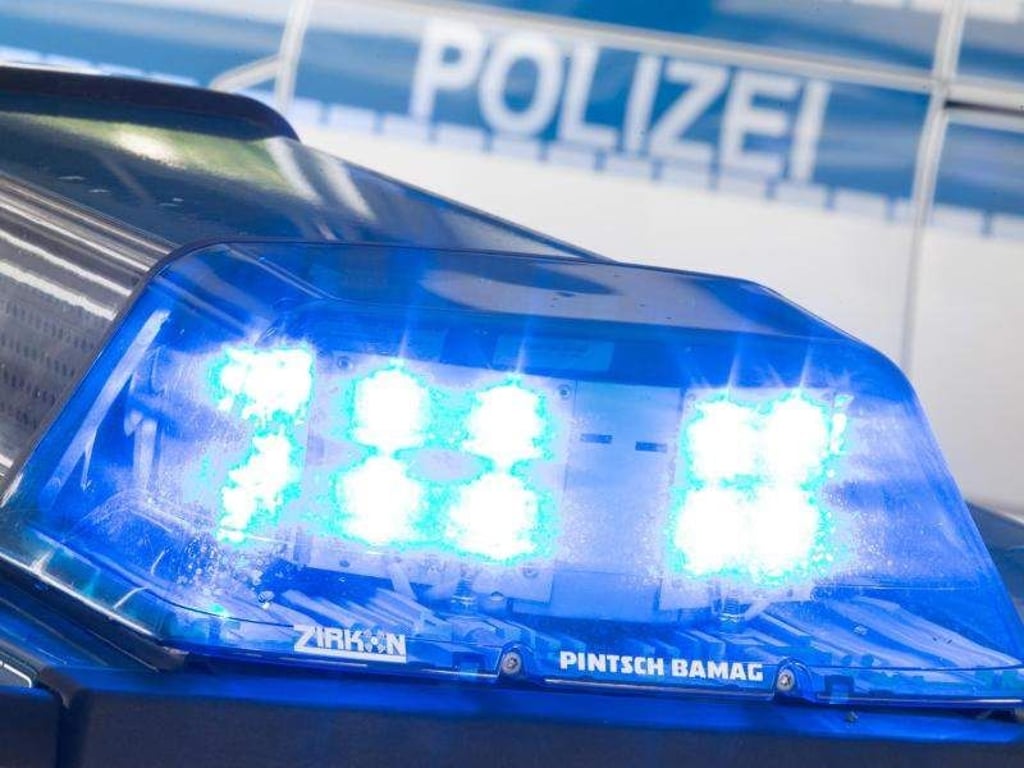 Eine Blaulicht leuchtet auf dem Dach eines Polizeiwagens. Foto: Friso Gentsch/Archiv