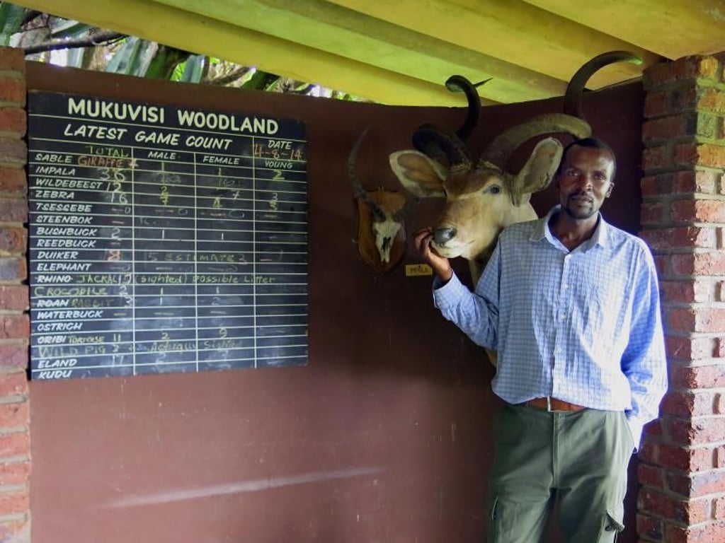 Aufklärung ist das Motto: Allain Chimanikire ist Manager des Mukuvisi Woodlands Nature Reserve und will, dass Besucher in den Nationalparks auch etwas über den Schutz der Natur in Simbabwe lernen. Foto: Markus Steiner