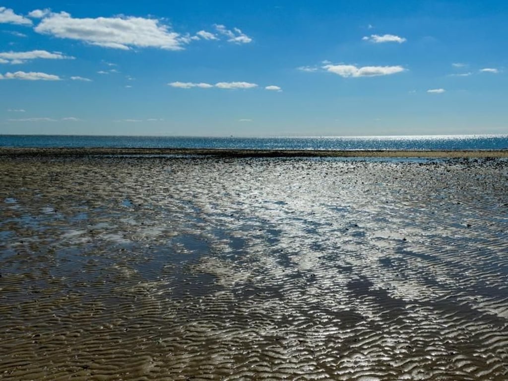 Die Sonne spiegelt sich im Wattenmeer auf Sylt am sogenannten Ellenbogen. Foto: Axel Heimken