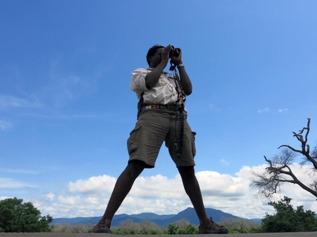 Alles im Blick: Seit mehr als 15 Jahren ist Guide Humphrey Gumpo im afrikanischen Busch unterwegs. Foto: Markus Steiner