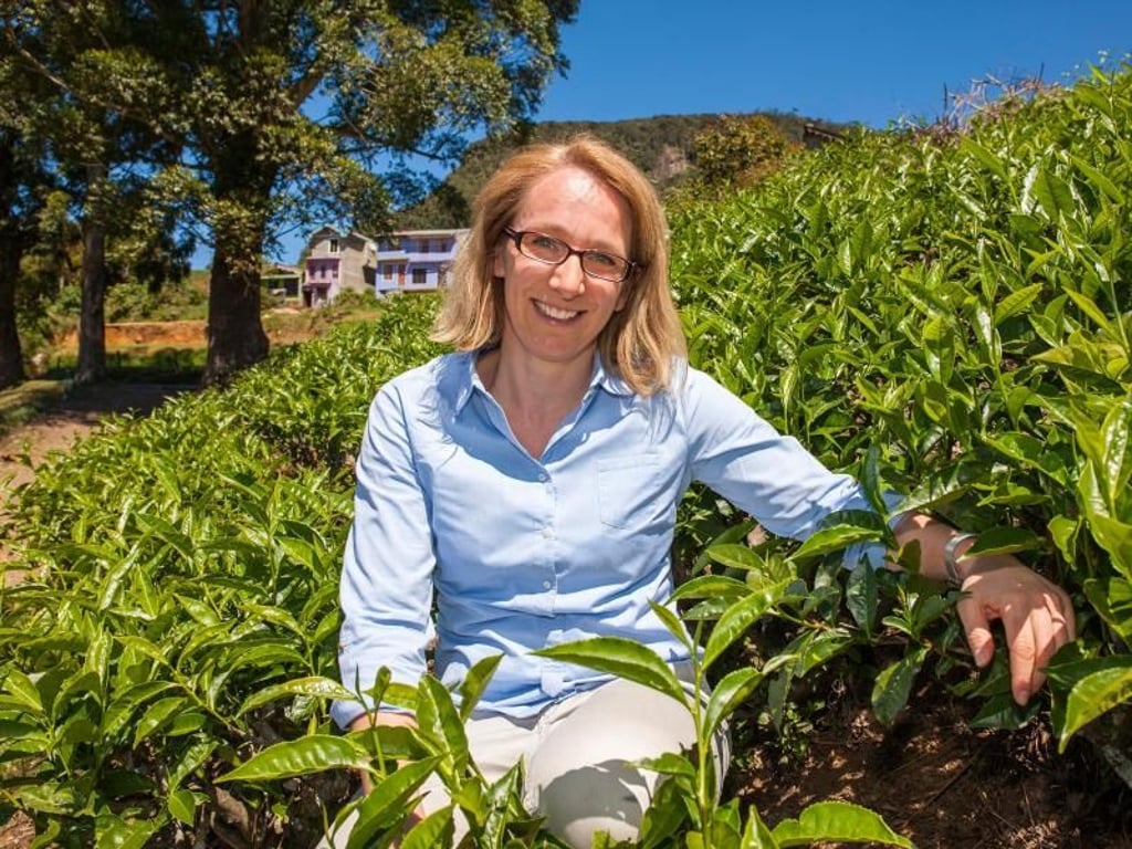 Sandra Nikolei vom Teehandelshaus Ronnefeldt inmitten einer Teeplantage auf Sri Lanka. Foto: Ronnefeldt