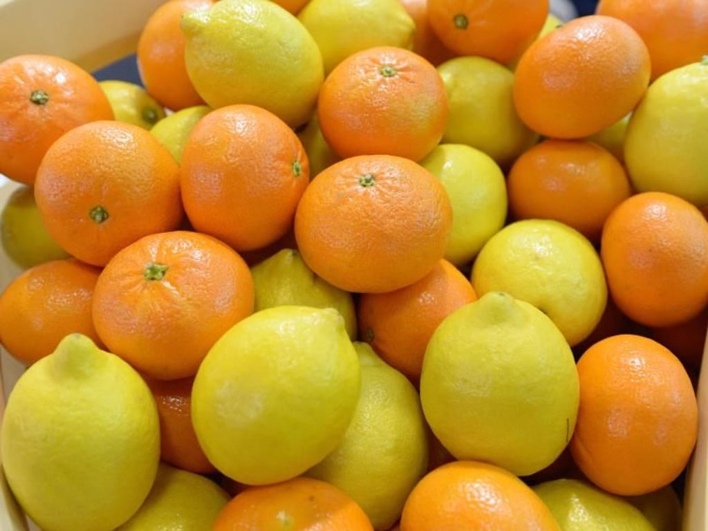 Zitrusfrüchte sind reich an Vitamin C. Dieses Vitamin ist neben anderen wichtig für eine gesunde Haut. Foto: Andrea Warnecke