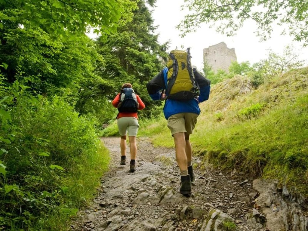 Auf dem Lieserpfad geht es auf 74 Kilometern durch Wälder mit Ausblick auf Täler und Burgen durch die Eifel. Foto: Dominik Ketz/Rheinland-Pfalz Tourismus GmbH/dpa-tmn