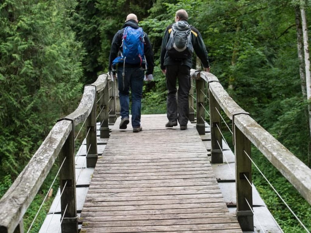 Das Wildfluss-Tal ist eng, der Blick von einer Brücke imposant. Foto: Patrick Seeger