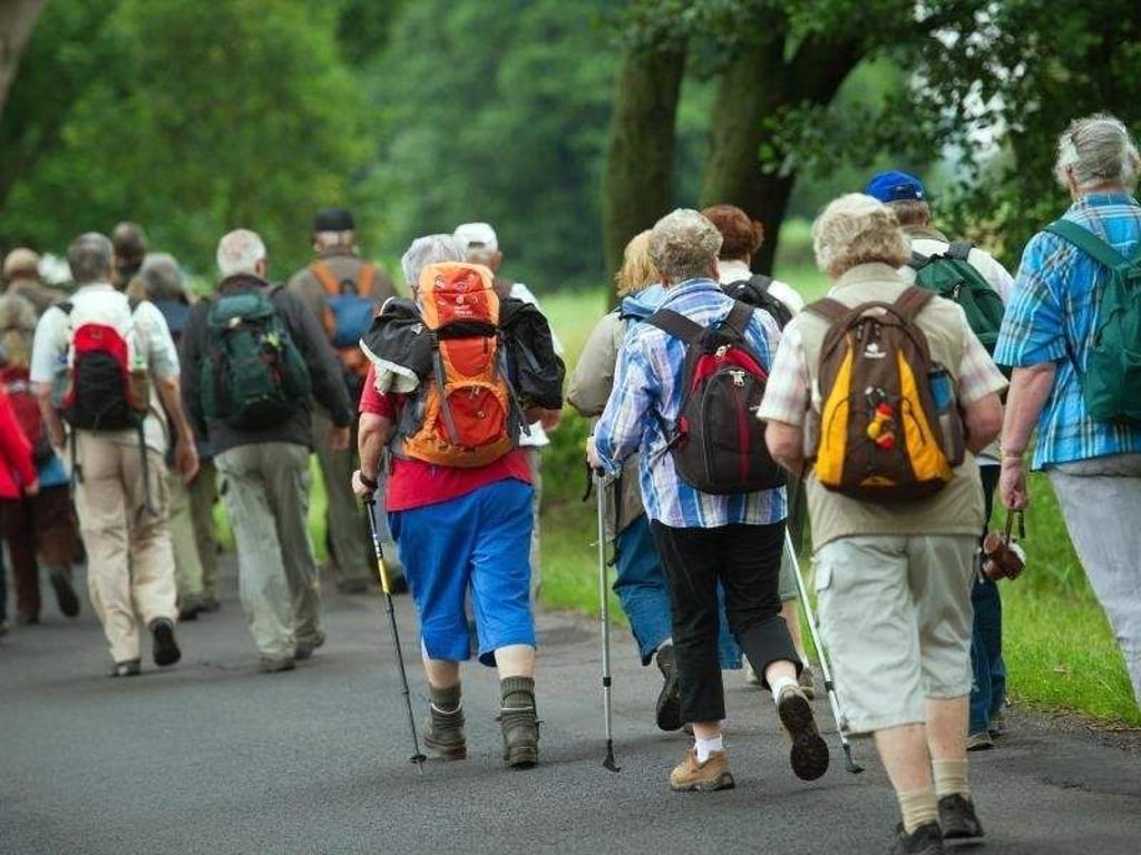 In der Gruppe läuft es sich besser. Foto: Patrick Pleul