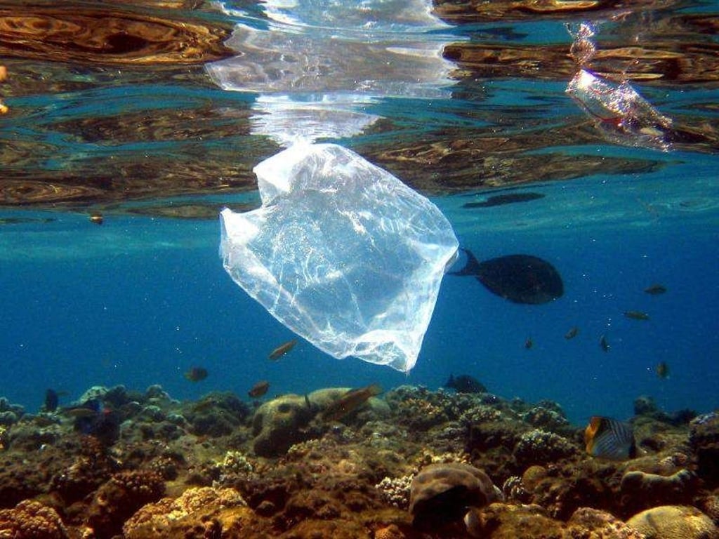 Plastikmüll setzt den Lebewesen im Meer erheblich zu. Foto: Mike Nelson/Archiv