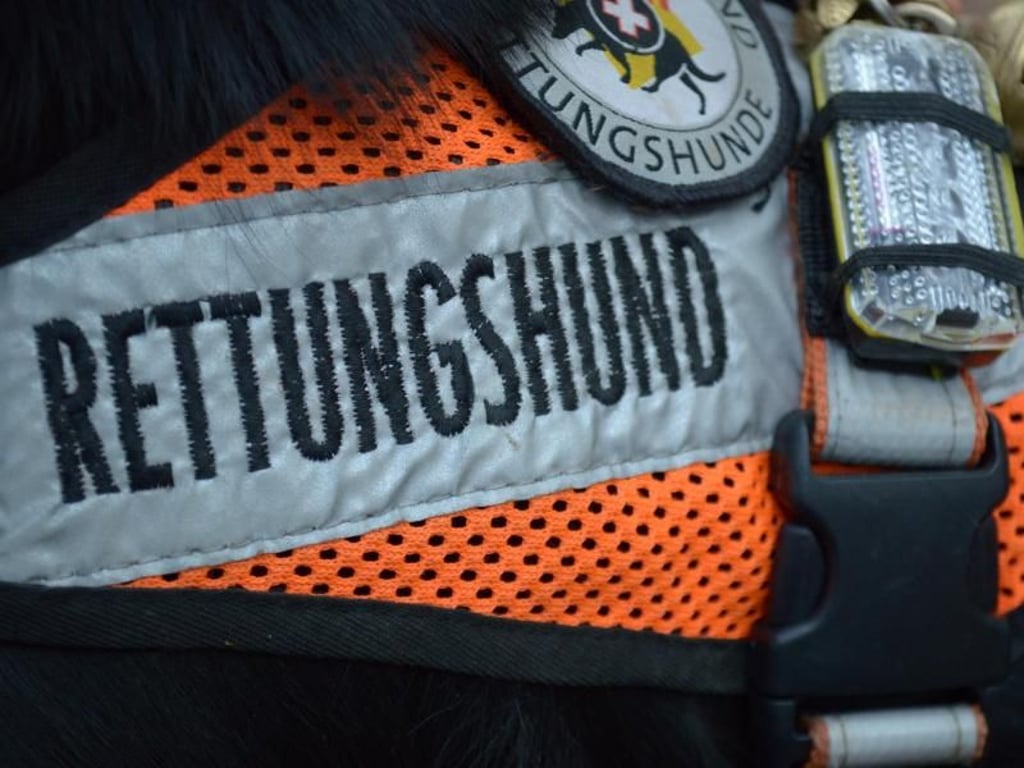 Die Ausbildung eines Rettungshundes dauert zwischen eineinhalb und zwei Jahren. Foto: Sabine Maurer/dpa-tmn
