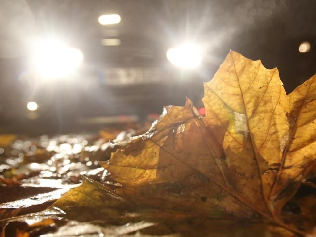 Den Bedingungen trotzen: Auf schlechte Sicht und rutschige Straßen im Herbst können sich Autofahrer mit einem Fahrsicherheitstraining vorbereiten. Foto: Bodo Marks
