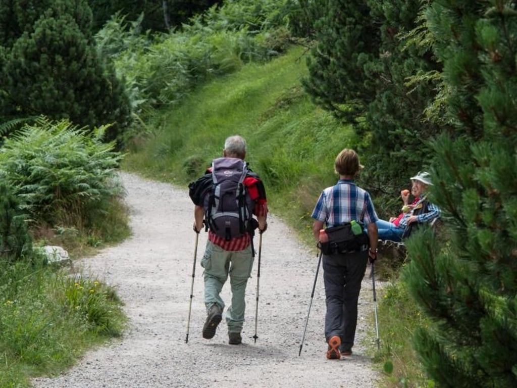 Das Land Baden-Württemberg stellt für das geplante Besucher- und Informationszentrum im Nationalpark Schwarzwald knapp 32 Millionen Euro zur Verfügung. Foto: Patrick Seeger