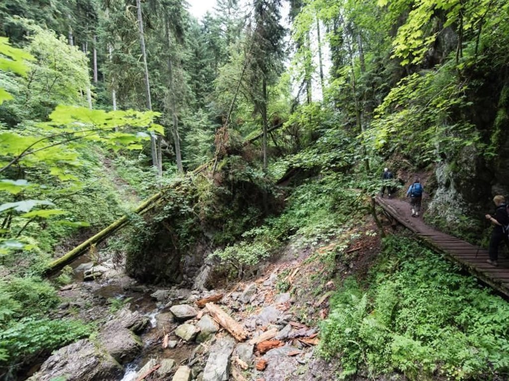 In der Schlucht gibt es kein Handynetz. Foto: Patrick Seeger