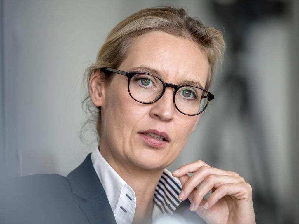 Die AfD-Fraktionschefin Alice Weidel klagt wegen eines beleidigenden Kommentars auf einer Facebook-Seite gegen das soziale Netzwerk. Foto: Michael Kappeler
