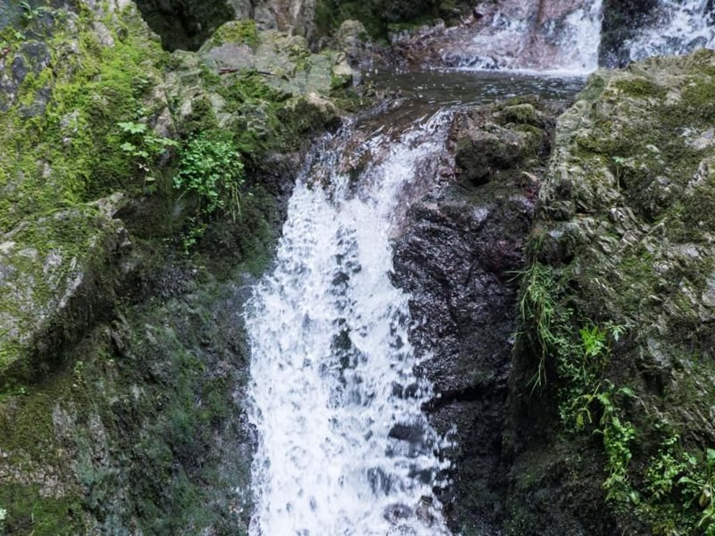 Ein bisschen fühlt man sich wie in der Wildnis, obwohl sich die Schlucht in Baden-Württemberg befindet. Foto: Patrick Seeger
