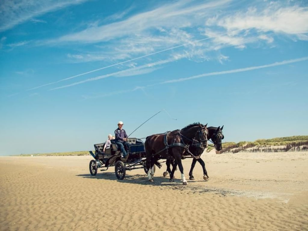 Transportieren auf Juist fast alles: Pferdefuhrwerke spielen auf der Insel eine große Rolle.
Foto: Kurverwaltung Juist