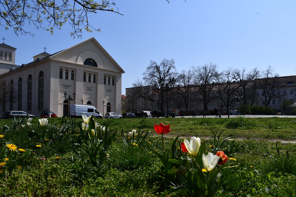 Der Stadtrat hat die Umgestaltung des Nicolaiplatzes beschlossen.