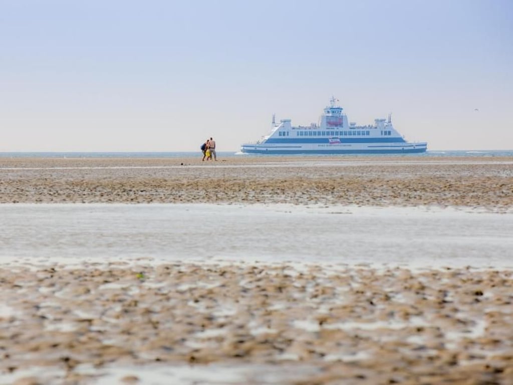 Wattwandern gehört zu den beliebtesten Urlaubsaktivitäten auf Föhr - nicht selten mit Blick auf die Fahrrinnen für die Fährschiffe zum Festland. Foto: Oliver Franke/Föhr Tourismus GmbH