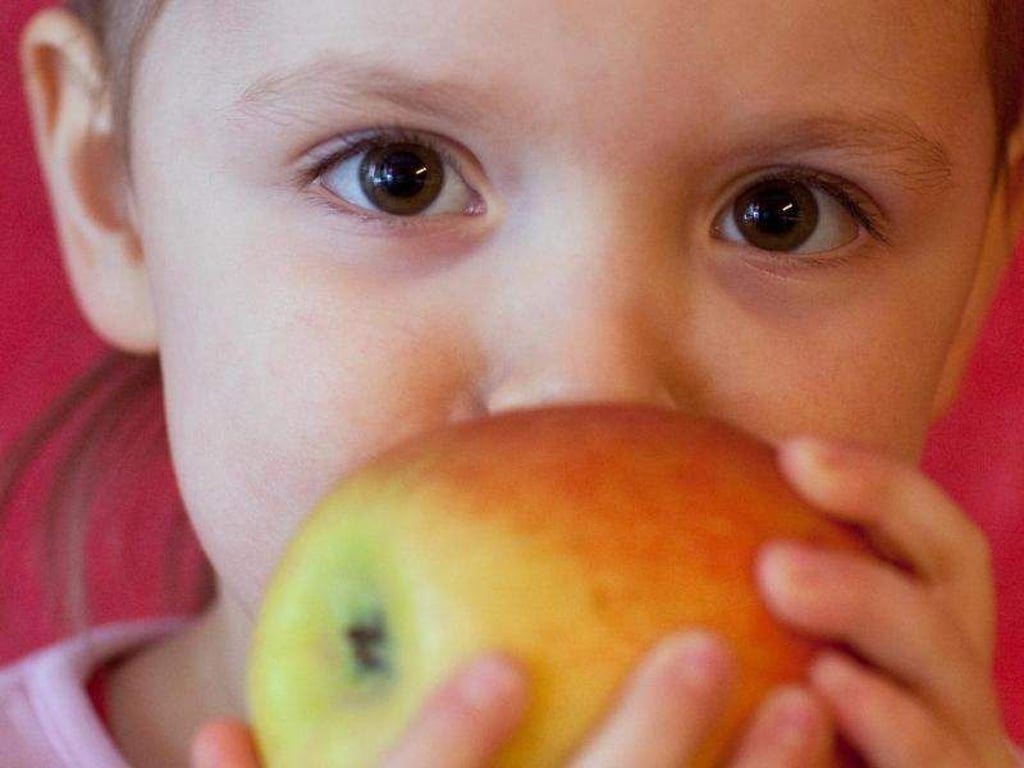 Ein Stück Apfel oder dergleichen ist schnell verschluckt. Bleibt er stecken, ist schnelles Handeln geboten. Foto: Patrick Pleul