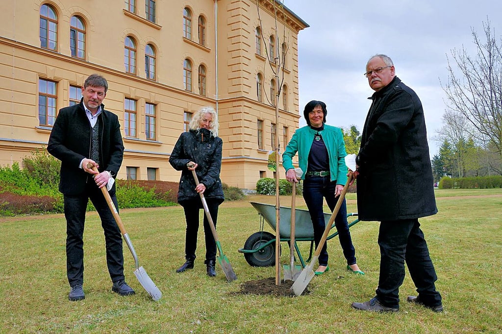 Vor dem Pflegeheim wurde ein Baum zum Gedenken gepflanzt.