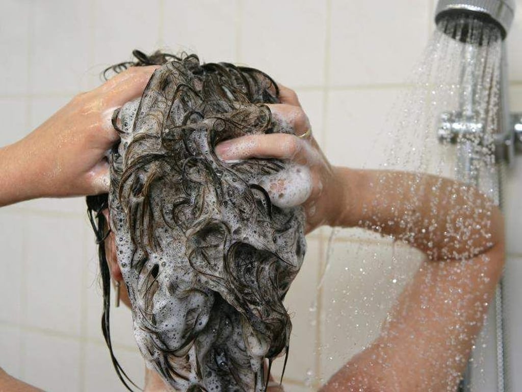 Die Haare sollten alle zwei bis drei Tage gewaschen werden. Foto: Patrick Pleul