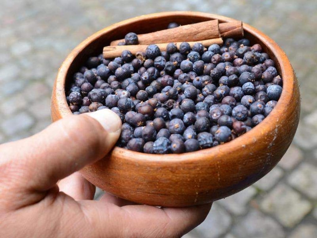 Wer Wacholderbeeren ernten will, muss im Garten männliche und weibliche Sträucher pflanzen. Foto: Franziska Kraufmann/dpa