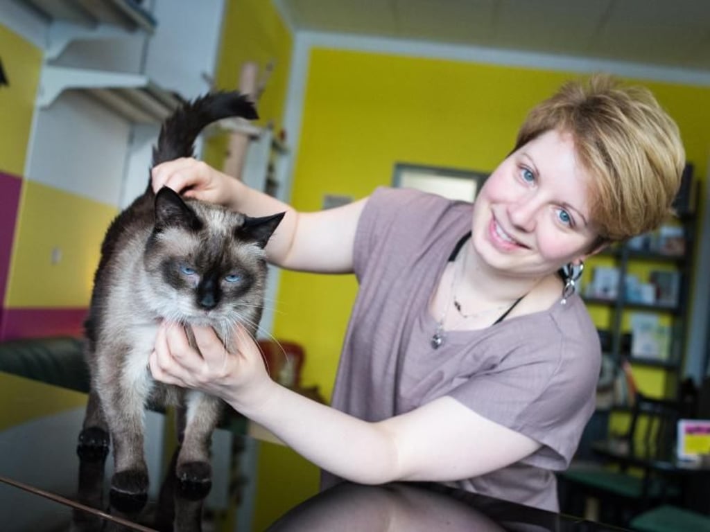 Katzencafébesitzerin Caroline Braune arbeitet mit dem Verein «Hand in Hand for Cats» zusammen, der sich für den Schutz von Katzen einsetzt. Foto:Franziska Gabbert/dpa-tmn