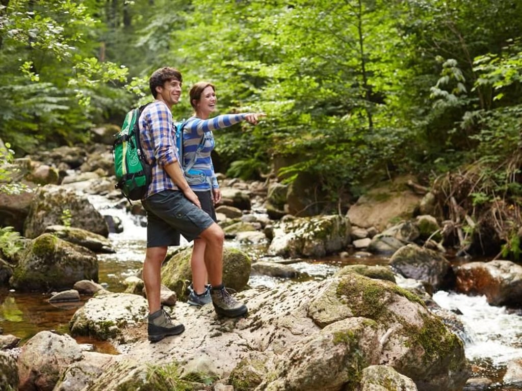 Wer an der Ilse entlang wandert, muss mit etwas Steigung rechnen - immerhin geht es hoch zum Brocken. Foto: M. Gloger/Harzer Tourismusverband/dpa-tmn