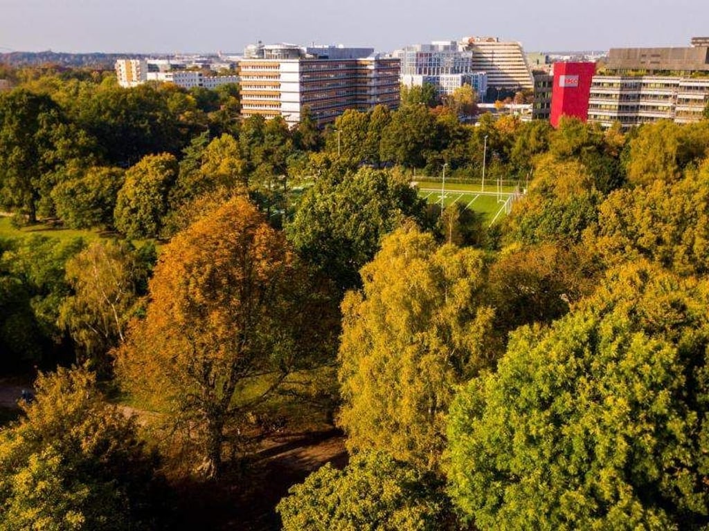 Herbstlich belaubte Bäume im Hamburger Stadtpark. Foto: Axel Heimken