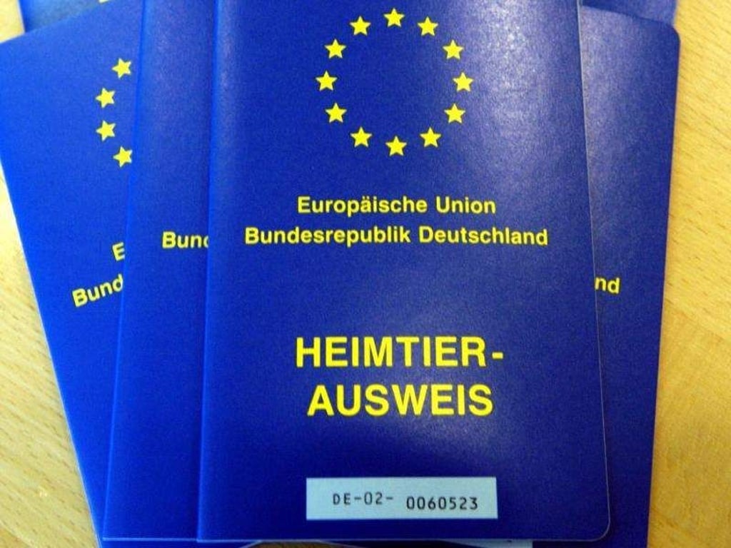 Wenn Hund oder Katze ins europäische Ausland fahren wollen, benötigen sie den EU-Heimtierausweis. Foto: Franz-Peter Tschauner/dpa