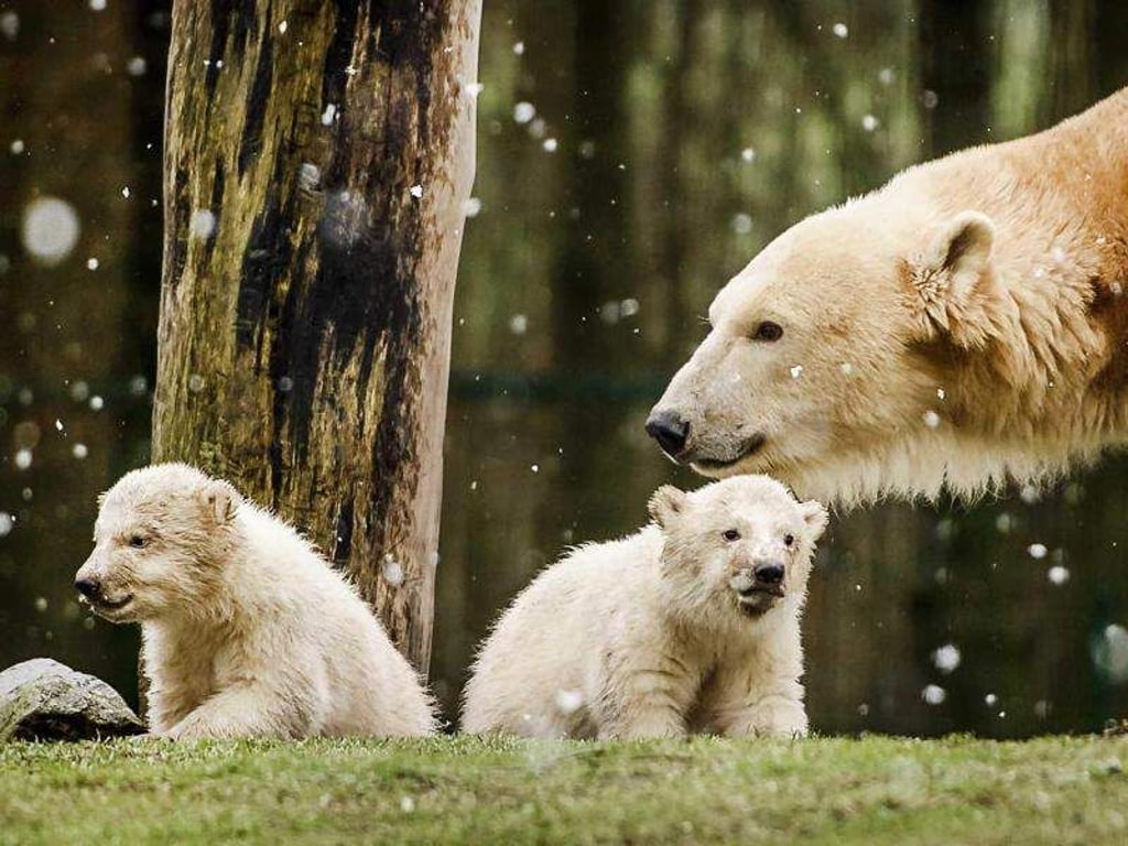 Die Jungs erkunden die Welt. Foto: Remko De Waal