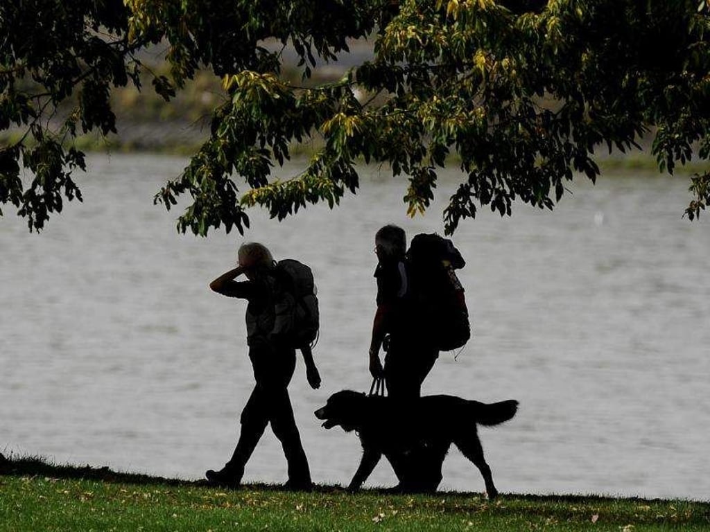 Genug Pausen einplanen und alles für den Hund dabei haben: So steht der gemeinsamen Wandertour nichts mehr im Wege. Foto: Marius Becker